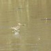 David Snipes Photo 36