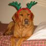 Kelly Farris Photo 33
