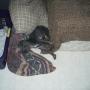 Robert Underhill Photo 10