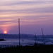 Andrea Peace Photo 6