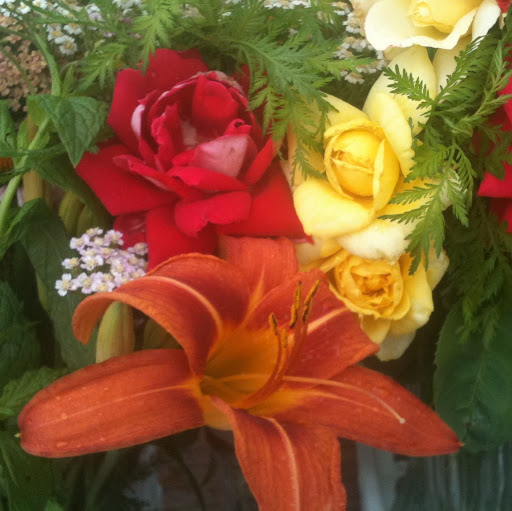 Brenda Cohen Photo 29