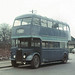 Samuel Gardner Photo 27