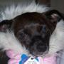 Kitty Robinson Photo 16