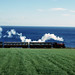 Douglas Korte Photo 4