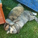 Ricky Gray Photo 41
