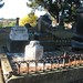 Mace Brown Photo 5