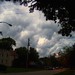 Debi Storm Photo 8