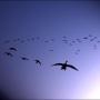 Scott Gilmore Photo 11