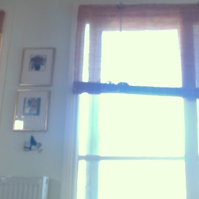 Jane Garner Photo 34