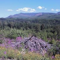 Robert Coons Photo 21