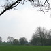 Harold Hill Photo 13
