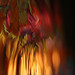 Michael Landers Photo 36