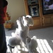Minnie Bailey Photo 9