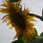 Lisa Nault Photo 13