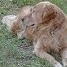 Cindy Butler Photo 30