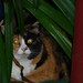 Eva Culp Photo 4