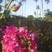 Martha Mata Photo 36
