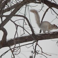 Susanne Ingels Photo 8