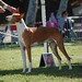 Stephanie Bonner Photo 20