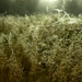 Misty Webb Photo 39