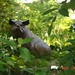 Sandy Scott Photo 31