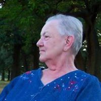 Susan Tomlinson Photo 15