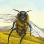 Robert Bissell Photo 22
