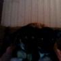 Frankie Jewell Photo 2