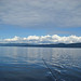 Victoria Salmon Photo 6