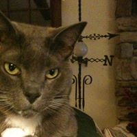 Nancy Musser Photo 9