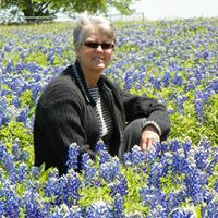 Sarah Rollins Photo 38