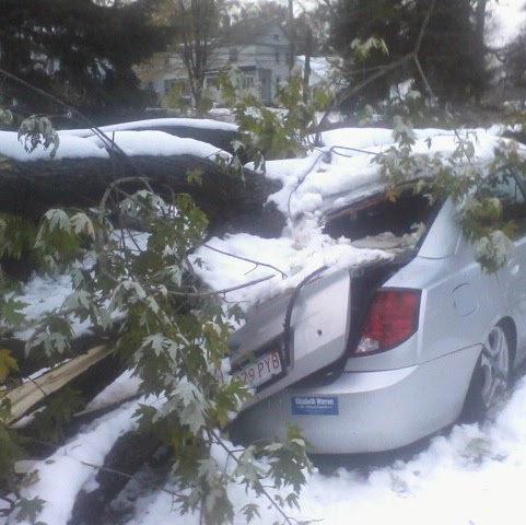 David Morin Photo 22