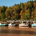 Martin Sewell Photo 15