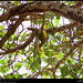 Bruce Green Photo 23