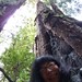 Donna Woods Photo 12