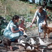 Catherine Harrington Photo 35