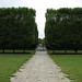 Suzanne Hedges Photo 11