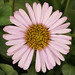 Wayne Roderick Photo 7