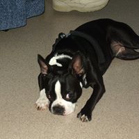 Debbie Leger Photo 7