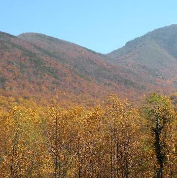 Barbara Wilkinson Photo 9