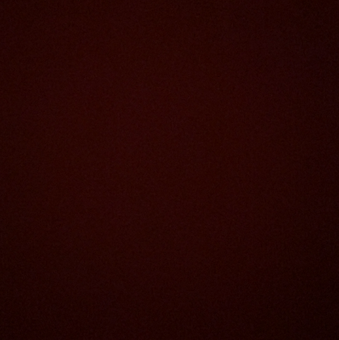 Shane Bateman Photo 12