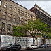 Thomas Hamilton Photo 31