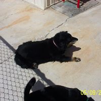 Frankie Dailey Photo 7