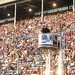Wayne Reese Photo 19