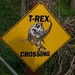 Rex Cross Photo 18