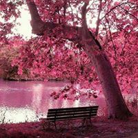 Debra Hooper Photo 27