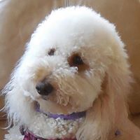 Gail Bradshaw Photo 11