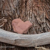 Marcia Cooper Photo 41