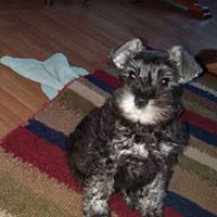Sherry Plumb Photo 5