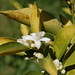 Timothy Flora Photo 7